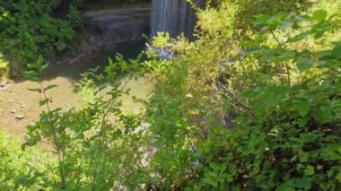 Manitoulin Adası, Ontario, Kanada 'da Gelin Veil Şelaleleri. Manzaralı güzelliği ve ulaşılabilirliğiyle bilinen resim şelalesi, yemyeşil yeşilliklerle çevrili güzel bir çağlayan oluşturur..