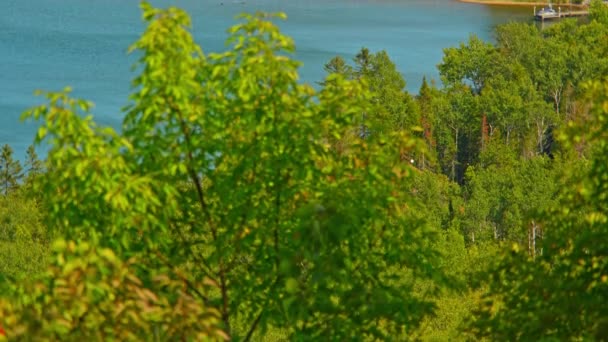 カナダ オンタリオ州マニトリン島のシギヤンダの10マイルポイント取引ポストからの眺め リゾートハウスやキャビン近くの漁船のための海岸や桟橋やドック 湖の水を囲む — ストック動画