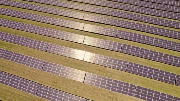 Solar Panels Installation Mounting Farm Alternative Power Plant Solar Cells — Vídeo de stock
