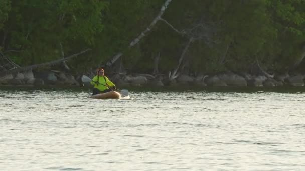 妇女乘坐独立划艇滑行滑行 水上运动 在水里划桨 娱乐和健身 在进行全身锻炼的同时探索加拿大的湖畔荒野 冒险与体育 — 图库视频影像