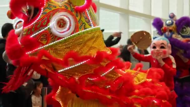 传统的亚洲狮子在阿迦汗博物馆跳舞 2024年农历新年及龙年庆祝活动 加拿大安大略省多伦多 2024年2月17日 — 图库视频影像