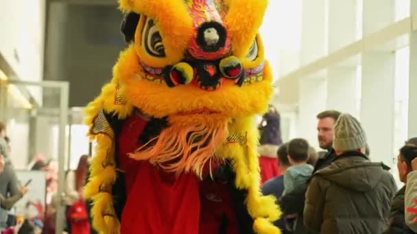 传统的亚洲狮子在阿迦汗博物馆跳舞 2024年农历新年及龙年庆祝活动 加拿大安大略省多伦多 2024年2月17日 — 图库视频影像