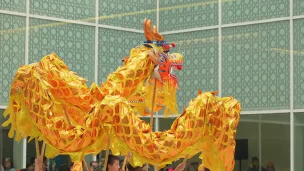 伝統的なアジアのドラゴンダンスは トロント オンタリオ カナダ 2024 ドラゴンの年を伝える月の新年を記念して アガンカーン博物館で行われます — ストック動画