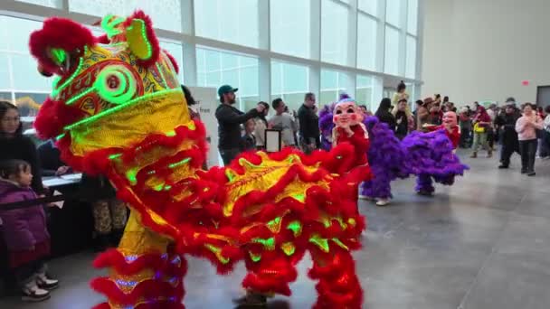 Tradição Dança Leão Asiático Museu Aga Khan Ano Novo Lunar — Vídeo de Stock