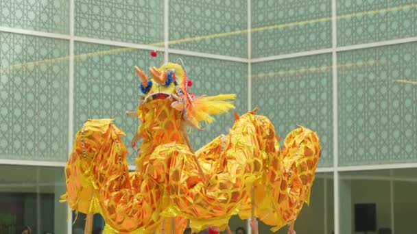 Tradycja Azjatycki Taniec Smoka Aga Khan Museum Nowy Rok Księżycowy — Wideo stockowe