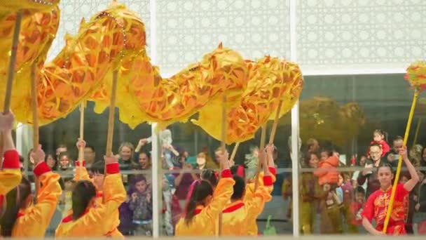 传统的亚洲龙舞于2024年2月17日在加拿大安大略省多伦多的阿加汗博物馆举行 以庆祝农历2024年农历新年 — 图库视频影像