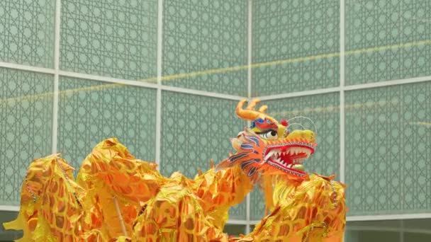 Çin Yeni Yılı 2024 Ejderha Dans Kutlaması Aga Khan Müzesi — Stok video
