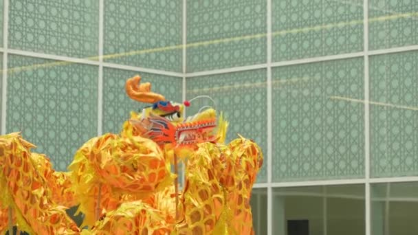 アガン カーン美術館の伝統的なアジアのドラゴンダンス 旧正月2024年とドラゴンのお祝いの年 カナダ オンタリオ州トロント — ストック動画