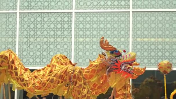 Κινέζικο Σεληνιακό Έτος 2024 Δράκος Γιορτή Χορού Κινέζικο Ζωδιακό Κύκλο — Αρχείο Βίντεο