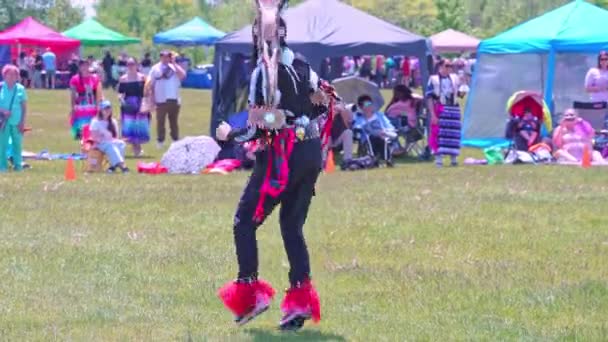 两个幽灵坑哇 由第一民族的两个幽灵人民 华丽华丽的羽毛舞蹈家 身着传统格子花舞的美洲原住民 加拿大安大略省多伦多 2023年5月27日 — 图库视频影像