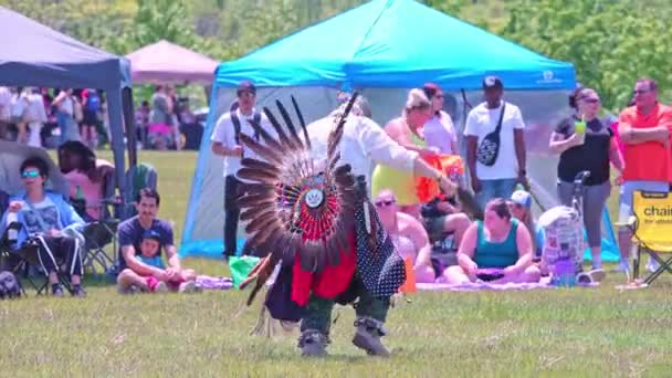 Два Спирта Pow Wow Spirits People 1St Nations Powwow Fantasy — стоковое видео