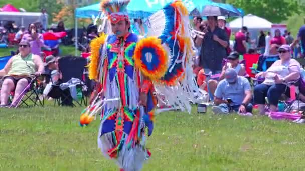 Pow Wow Inheemse Traditionele Dans Met Stijl Regalia Spirit Powwow — Stockvideo