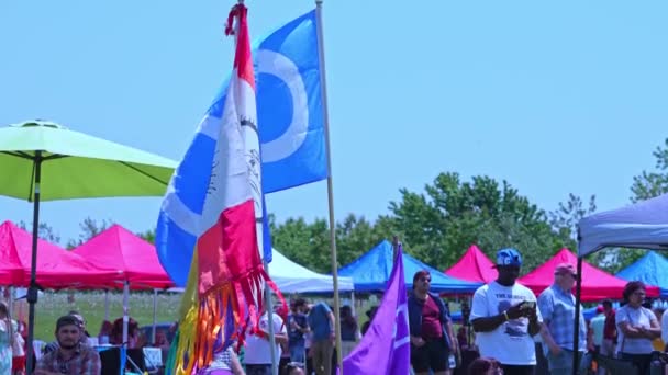 2つのスピリットパワーすごいでフラグの表示 イロコイ連邦旗 2霊のシンボルを持つプライドフラグ Transor Transgender Flag Metis Flag カナダ オンタリオ州トロント — ストック動画