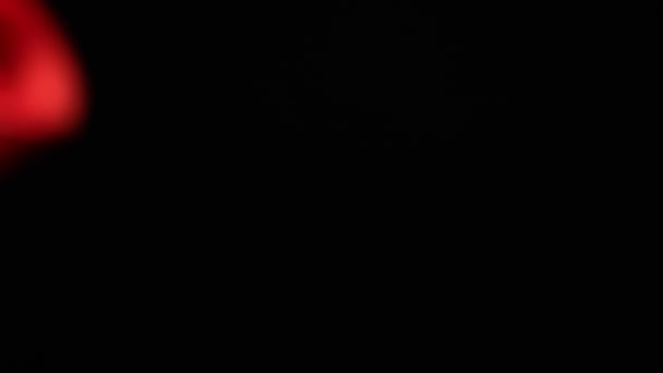 Партійний Ріг Або Вибух Розгортається Чорному Тлі Використовується Вечірках Дня — стокове відео