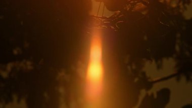Kamera hareketi, sarı turuncu ışık efektleri ve güneş sızıntılarıyla birlikte sinematik güneşe yöneliyor. Sıcak yaz ve sıcak hava dalgası. Büyük sarı güneş diski destansı altın saatte batıyor. Büyük yuvarlak güneş çemberinin yakın görüntüsü.