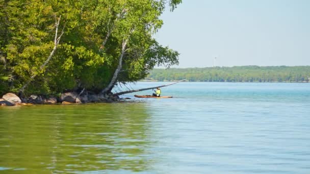 在加拿大湖畔吃水的时候 一个体态瘦小的女人慢吞吞地划船 北美美丽的风景和荒野 积极的生活方式和健康的运动 水上运动 — 图库视频影像