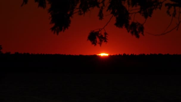 大的亮黄色的太阳圆盘在日落时向下移动 史诗般的天空和天空线 黄昏时分令人惊奇的橙色红色 电影色彩生机勃勃的日落 荒野中的黄金时刻 — 图库视频影像