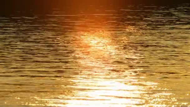 Отражение Солнечного Света Огонь Закат Солнца Золотой Час Над Поверхностью — стоковое видео