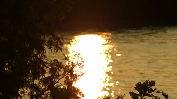 カメラの動き 湖の近くのオークの枝のロマンチックな眺め 壮大な太陽の間に火のような水が島の黄金の時を設定します 優しいゴールデンライトグロー ロマンチックな雰囲気 日没の夕暮れ チャーミング ナイト — ストック動画