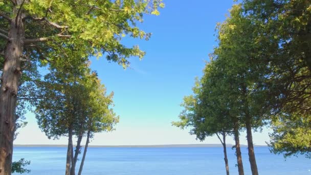 マンネイ湖の穏やかで魅力的な水と湿地の壮大な眺め カナダのオンタリオ州北部にあるマニトリン島の植生の高級ビュー 島で最大の湖 — ストック動画