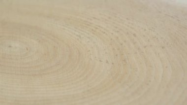 Tahta daire kütük gövde arka planı üstten. Kesişen kesitler ağaç dönüşünü kesiyor. Seçici odak.