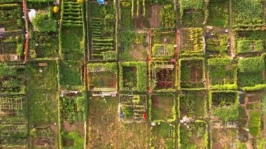 Homesteading life style and self-sufficient food preserving concept. Modern permaculture in the city neighbourhoods with small farms and urban family gardens. Aerial view.