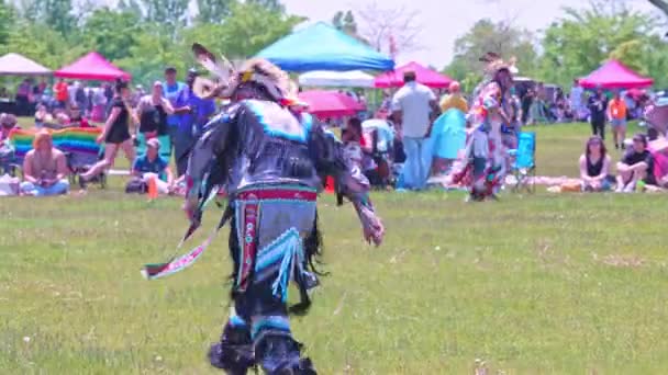 Pow Wow Domácí Tradiční Tanec Stylovým Královským Stylem Spirit Powwow — Stock video