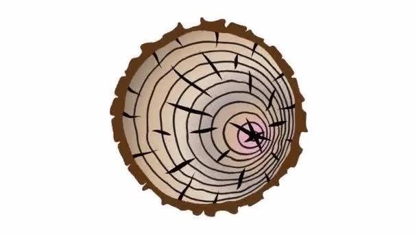 Seção Transversal Árvore Com Anéis Idade Animação Gráfica Movimento Peça — Vídeo de Stock