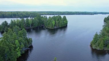 Köknar ağaçlı, el değmemiş küçük adaların havadan görünüşü. Kuzey Ontario gölündeki kır suları. Adaların bitki ağaçları ve bitkilerle dolu küçük gölün panoramik manzarası.
