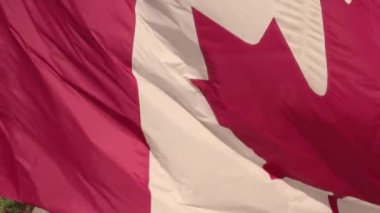 National Flag of Canada. Canadian flag slow motion at mast at Toronto city Ontario Canada in remembrance.