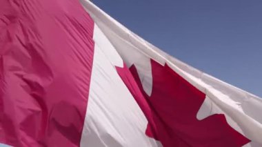 National Flag of Canada. Canadian flag slow motion at mast at Toronto city Ontario Canada in remembrance.