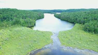 Sinema destansı hava aracı manzarası derin vahşi orman ağaçları manzarayı taçlandırıyor. Yol üzerinde virajlı. Bancroft Ontario Kanada 'sında yeşil yaban hayatı içinde destansı tepeler, nehirler ve bataklık gölleri.