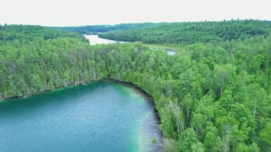 Sinema destansı hava aracı manzarası derin vahşi orman ağaçları manzarayı taçlandırıyor. Yol üzerinde virajlı. Bancroft Ontario Kanada 'sında yeşil yaban hayatı içinde destansı tepeler, nehirler ve bataklık gölleri.