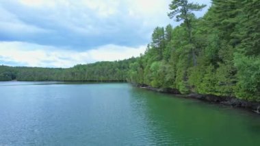Vahşi göl, sakin su ve çam ağaçlarının efsanevi drone görüntüsü. Glaser Gölü manzarası ve vahşi doğa arka planı. Turkuaz mavi su Ontario, Kanada 'da doğal rezervuar.