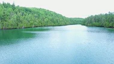 Vahşi göl, sakin su ve çam ağaçlarının efsanevi drone görüntüsü. Glaser Gölü manzarası ve vahşi doğa arka planı. Turkuaz mavi su Ontario, Kanada 'da doğal rezervuar.