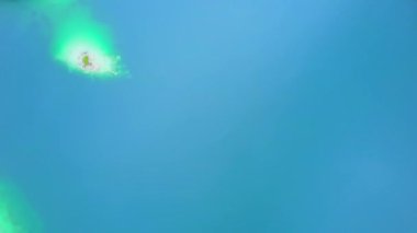Vahşi göl, sakin su ve çam ağaçlarının efsanevi drone görüntüsü. Glaser Gölü manzarası ve vahşi doğa arka planı. Turkuaz mavi su Ontario, Kanada 'da doğal rezervuar.