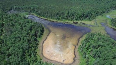 Sinema destansı hava aracı manzarası derin vahşi orman ağaçları manzarayı taçlandırıyor. Yol üzerinde virajlı. Bancroft Ontario Kanada 'sında yeşil yaban hayatı içinde destansı tepeler, nehirler ve bataklık gölleri.