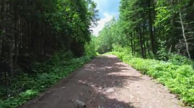 Ontario, Kanada Crown Land Pov 'daki off-road ıssız patikası. Spor eğlencesi ve macera için off-road aracına binmek. Uzak vahşi bozgunlarda keşif ve eğlence..