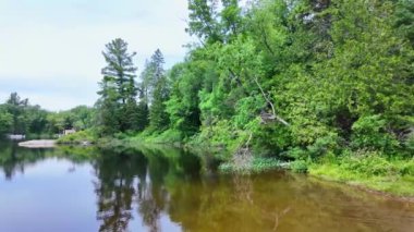 Paudash Gölü 'nün sakin su ve çam ağaçlarının resimli panoramik manzarası. Büyük göl manzarası ve doğa arka planı. Kanada, Ontario 'daki su doğal rezervuarı, seyahat yeri..