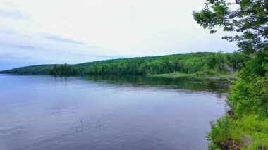 Bancroft, Kawartha Highlands ve Cardiff, Ontario, Kanada 'daki Paudash Gölü sakin su ve çam ağaçları. Büyük göl manzarası ve doğa arka planı. Seyahat hedefi.