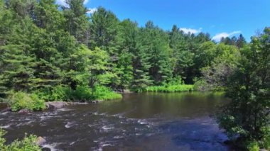 Yazın Eels Creek nehri, Kuzey Kawartha, Ontario Bancroft yakınlarından Yukarı Stoney Lake bölgesine. Manzaralı su yolu 28. karayoluna paralellik gösteriyor ve el değmemiş araziyi taçlandırıyor. Harika varış yeri kano gezisi aktiviteleri.