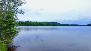 Paudash Gölü 'nün sakin su ve çam ağaçlarının resimli panoramik manzarası. Büyük göl manzarası ve doğa arka planı. Kanada, Ontario 'daki su doğal rezervuarı, seyahat yeri..