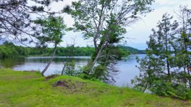 Bancroft, Kawartha Highlands ve Cardiff, Ontario, Kanada 'daki Paudash Gölü sakin su ve çam ağaçları. Büyük göl manzarası ve doğa arka planı. Seyahat hedefi.