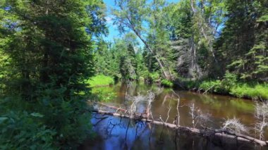 Yazın Eels Creek nehri, Kuzey Kawartha, Ontario Bancroft yakınlarından Yukarı Stoney Lake bölgesine. Manzaralı su yolu 28. karayoluna paralellik gösteriyor ve el değmemiş araziyi taçlandırıyor. Harika varış yeri kano gezisi aktiviteleri.