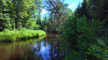 Yazın yeşil köknar ağaçları ve Eels Creek nehri manzarası. Ontario, Kanada, Kuzey Amerika. Seyahat ve doğa kavramı. Sakin su manzarası. Güzel doğa arkaplanı.