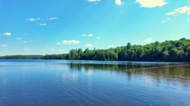 Bancroft 'taki sessiz göl, Kuzey Ontario, Kanada. Sulak alanların vahşi doğasının güzel sihirli manzarası. Sessiz sakin ve sakin bir meditasyon noktası. Yazın doğa manzarası.