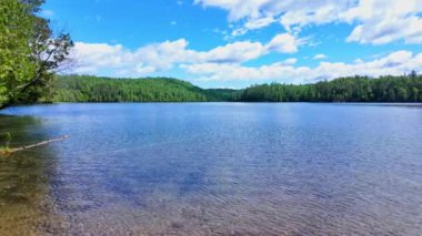 Kanada, Ontario 'daki doğal göl panoramik manzarası, Crown arazisi. Yoğun çam ormanları ve uzak tehlikeli rotalarla çevrili resimli derin göl. Sakin yaz suyu manzarası.