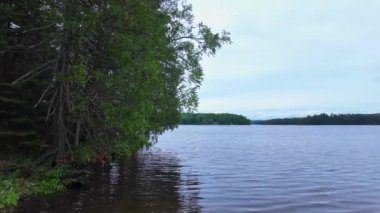Paudash Gölü 'nün sakin su ve çam ağaçlarının resimli panoramik manzarası. Büyük göl manzarası ve doğa arka planı. Kanada, Ontario 'daki su doğal rezervuarı, seyahat yeri..