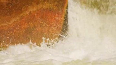 Somon yumurtlaması, yetişkin somonlar yumurtalarını bırakmak için doğal, tatlı su yaşam alanlarına geri dönerler. Balıklar akıntıya karşı güçlü şelalelere karşı yüzerler. Ganaraska Nehri, Corbett Barajı, Port Hope, Ontario.