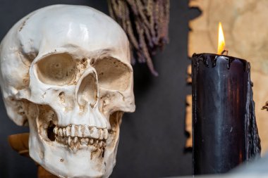 Büyülü, ezoterik ritüel aletleri ve eşyalarla çevrili bir insan kafatası. Okült büyü çalışması ve bilgi. Mistisizm doğaüstü bilim. Büyücülük ve büyücülük.. 